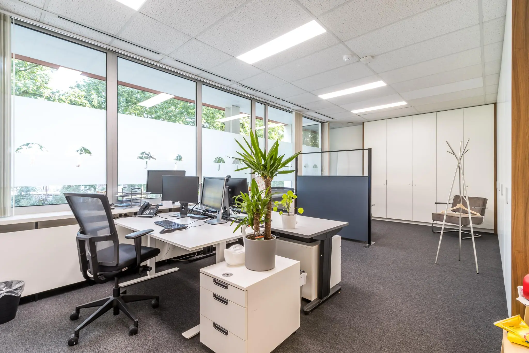 Modern kantoor aan de Jan van Eycklaan met bureaus, computers, planten en grote ramen met uitzicht op groen.